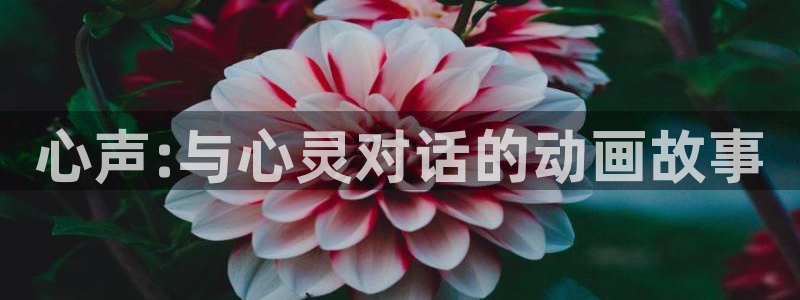 土豪漫画免费下拉式土豪漫画重考生