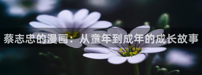土豪漫画布丁漫画入口页面免费观看
