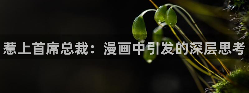 政勋艾岚漫画免费土豪漫画